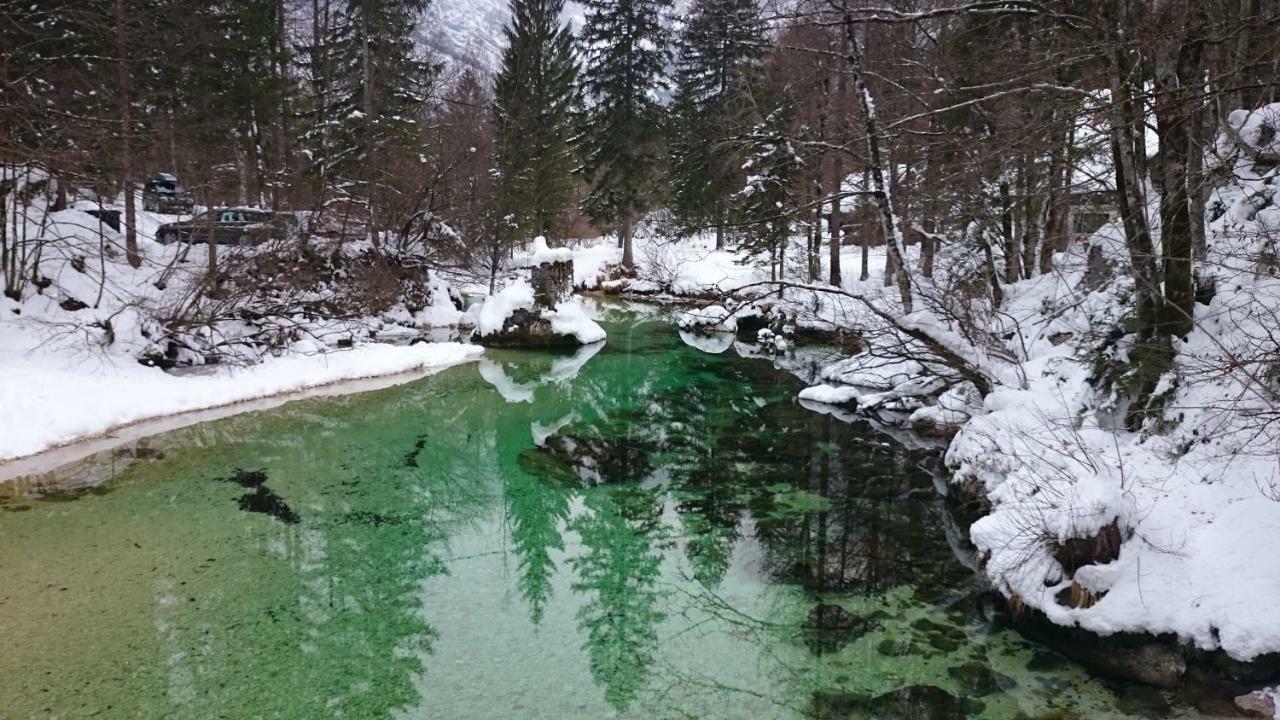 Apartment Amazing View Bohinj Extérieur photo