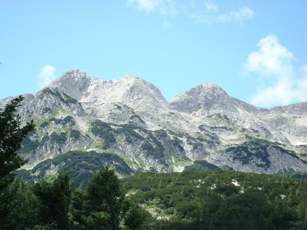 Apartment Amazing View Bohinj Extérieur photo